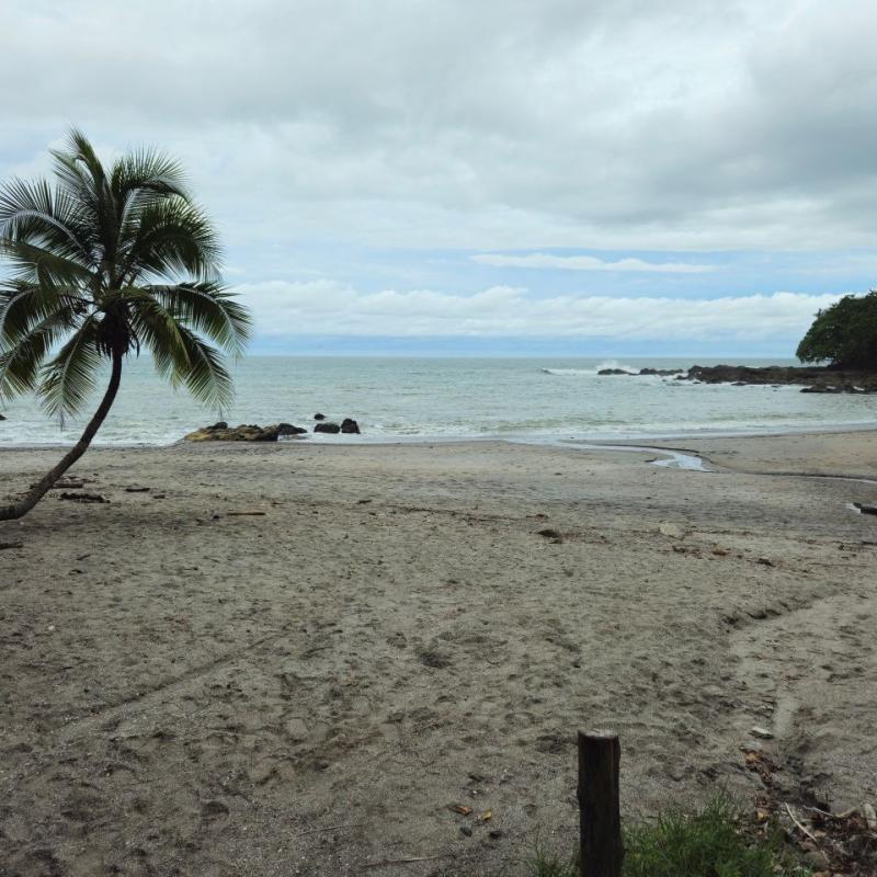 Montezuma03